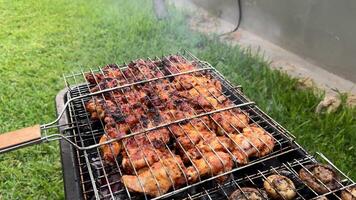 Chicken and mushroom barbecue in the backyard video
