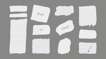 Paper and Elements scrapbooking Old torn crumpled. Sheet with ruler cell. Back to school. Different textures patterns ragged edges imitation of newspaper scraps. illustration. vector