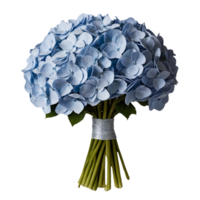 Blue Hydrangea Bouquet Symbolizing Gratitude and Understanding png