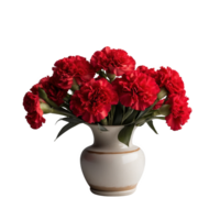 Red Carnations in a Vase Symbolizing Love and Fascination png