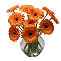 Orange Gerbera Daisies in a Vase Symbolizing Cheerfulness and Joy png