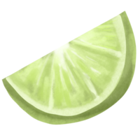 Ripe slice of green lime png