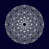 Modern mandala background vector
