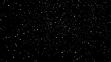 Falling snowflakes on transparent background. Seamlessly looped particles moving down, animation with alpha channel video
