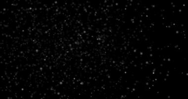 Moving particles, alpha channel. Defocused flowing dust or corpuscles, seamless loop, snow flakes overlay with alpha channel video
