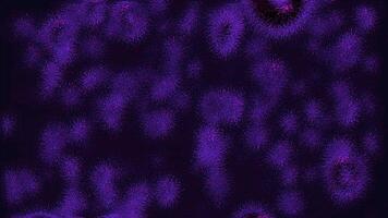 Purple elastic bubbles. Motion.Lilac background where small molecules randomly fly in animation. video