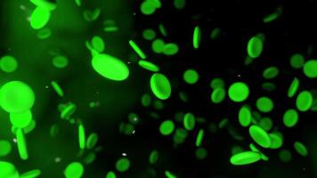 Alien blood stream with randomly flowing cells. Design. Unknown creature with its blood flowing in vein. video