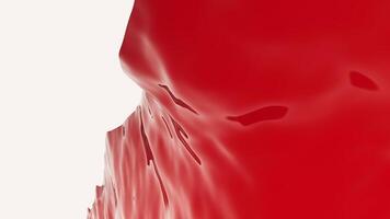 Close up of red rippling red jelly substance on a white background. Design. Abstract hardened jelly wobbling. video