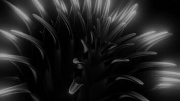 Opening 3d flower. Design. Abstract 3d flower moves and opens. Sharp 3d flower petals move in bloom video