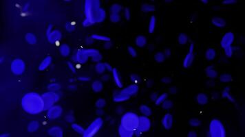 Blue background. Motion.Background with animation with illuminated black shades where various blue volumetric candies are flying. video
