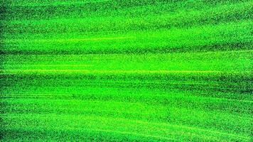 Background of stream of bright lines with radiance. Motion. Bright lines move in curved stream. Moving lines of electronic information flow with noise video