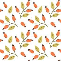 Rosehip seamless background, illustration of rosehip branch, red berries on a branch, print, textile, wrapping paper vector