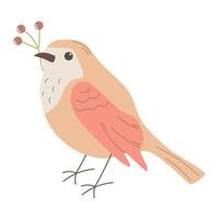 Cute bird holding a branch with berries, bird with a plant in its beak, color flat illustration on a white background vector