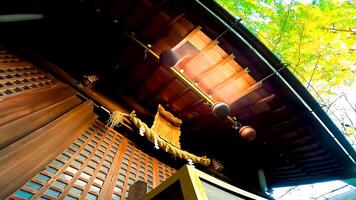 Hogima Hikawa Shrine is a shrine in Nishi-Hogima, Adachi-ku, Tokyo, Japan. Although the date of construction is not known, it is estimated to be before the Keicho era ,around 1596 photo