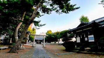 Shrine approach and torii.Takezuka Shrine, a shrine located in Takenotsuka, Adachi Ward, Tokyo, Japan It is said that during the 978-982, Ise Jingu was commissioned and built, photo
