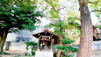 Takezuka Shrine precincts small shrine.Takezuka Shrine, a shrine located in Takenotsuka, Adachi Ward, Tokyo, Japan It is said that during the 978-982, Ise Jingu was commissioned and built, photo
