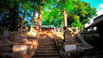 Approach to Mishuku Shrine,a shrine located in Mishuku, Setagaya Ward, Tokyo, Japan. The precincts are part of the site of Tamonji an abandoned temple, and in 1885 photo
