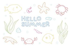 Composition of marine animals and algae. starfish and shrimp, crabs and shells, fish. Creatures of the ocean floor, marine underwater plants, mollusks. Illustration in outline style vector