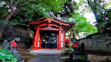 Okunoin.main shrine of Oji Inari Shrine,is a shrine in Kishi-cho, Kita-ku, Tokyo. During the Kohei year, he was given the title of Kanto Inari Soji by the Seii Taishogun, Minamoto no Yoriyoshi. photo