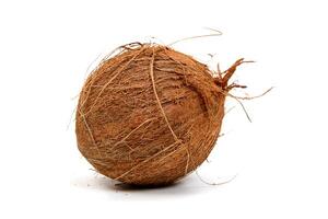 whole coconut on white background photo