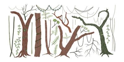 Set of jungle trees, vines and twigs. Rain forest, wild nature. illustration in flat style. vector