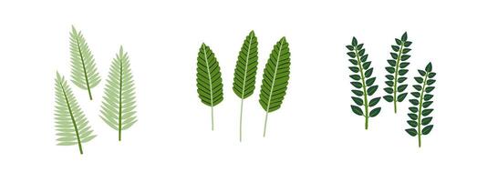 Set of doodle tropical plants of different shapes. Jungle, forest, nature. Hand drawn illustration in flat style. vector