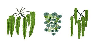 Set of doodle tropical plants of different shapes. Jungle, forest, nature. Hand drawn illustration in flat style. vector