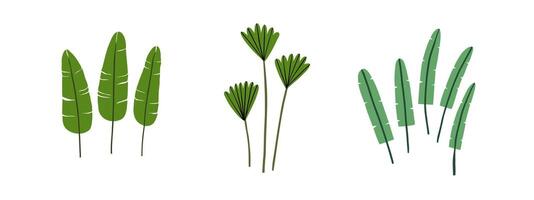 Set of doodle tropical plants of different shapes. Jungle, forest, nature. Hand drawn illustration in flat style. vector