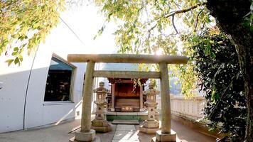 Small shrine, Tsukuda, in the precincts of Sumiyoshi Shrine photo