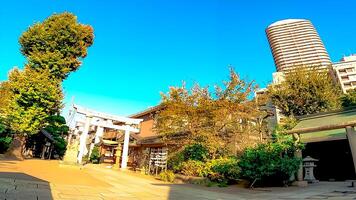 Shrine torii in clear skies Tsukuda Sumiyoshi Shrine photo