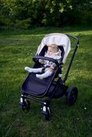cute baby in a stroller in the park photo