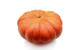 whole pumpkin on white background photo