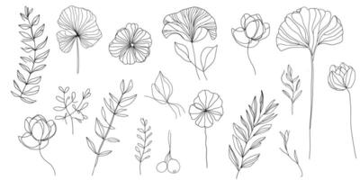 set of different flowers. collection outline flowers and leaves. vector