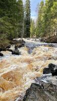 small waterfall among forest and mountains. landscape with river and wild stream. Nature of Republic of Karelia in Russia. vertical photography photo