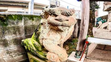 Imaizumi Shrine, a shrine located in Yaguchi, Ota Ward, Tokyo, Japan The date of its founding is unknown, but according to the new version of the Musashi Fudoki manuscript, photo