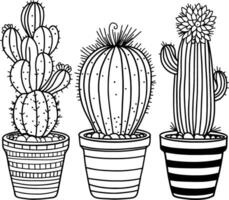 set of cactus in pot . Coloring page black and white cacti three in a row in pots. Simple coloring book vector