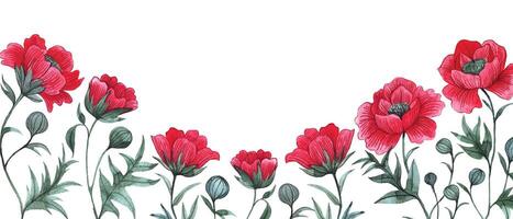 border with red poppies. watercolor drawing, frame with wildflowers vector