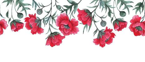 seamless border with red poppies. watercolor drawing, frame with wildflowers vector