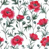 pattern with red poppies on a white background. watercolor seamless print with wildflowers vector