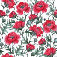 pattern with red poppies on a white background. watercolor seamless print with wildflowers vector