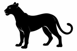 Black silhouette of panther, cheetah, tigress or lioness isolated on a white background. Wild cat. Graphic illustration. Icon, pictogram, template, sign, logotype, print, design element vector