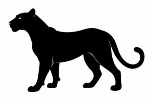Black silhouette of panther, cheetah, tigress or lioness isolated on a white background. Wild cat. Graphic illustration. Icon, pictogram, template, sign, logotype, print, design element vector