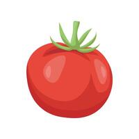 Red ripe tomato in flat style isolated on white background. illustration vector