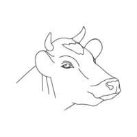 linear portrait of a cow on a white background. The cow's head is drawn in a cartoon style. vector