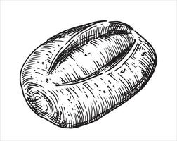loaf of bread, drawing in sketch style. vector