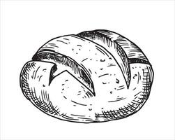 loaf of bread, drawing in sketch style. vector