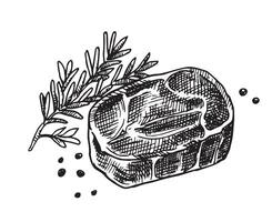 piece of meat, drawing in sketch style. steak and rosemary sprig vector