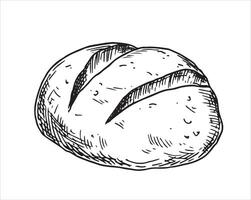 loaf of bread, drawing in sketch style. vector