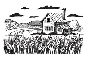 farm landscape with wheat field and house. drawing in sketch style vector