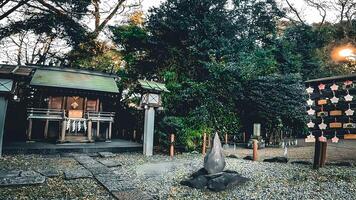 Sakuragi Shrine is a shrine located in Noda City, Chiba Prefecture, Japan. It is also known as a famous cherry blossom viewing spot. It is said that it was founded in 851 of the Heian Dynasty photo